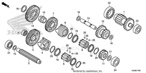 Transmission Schematic