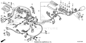 Wire Harness Schematic
