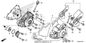 Left Crankcase Cover Schematic