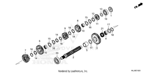 Transmission             (countershaft) Schematic