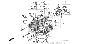 Cylinder Head Schematic