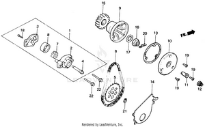 Oil Pump Schematic