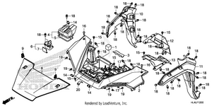 Front Fender@hood Schematic