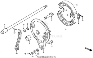 Rear Brake Panel Schematic