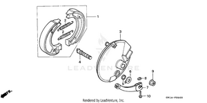 Front Brake + Front Brake Panel Schematic