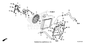 Radiator (r.) Schematic