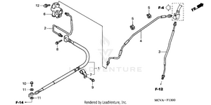 Brake Lines Schematic