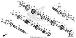 Transmission Schematic