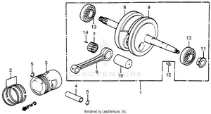 Crankshaft + Piston Schematic