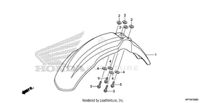 Front Fender Schematic