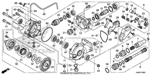Front Final Gear Schematic