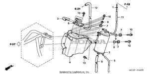 Evap Canister Schematic