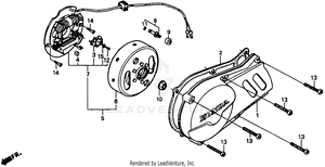Left Crankcase Cover 85-91 Schematic