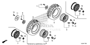 Wheel Schematic