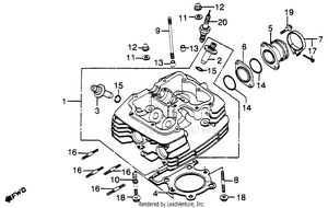 Cylinder Head Schematic