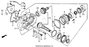 Side Gear Case + Cross Shaft Schematic