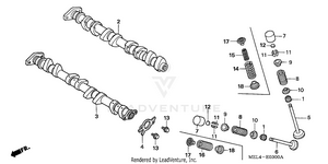 Camshaft + Valve Schematic