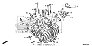 Cylinder Head Schematic