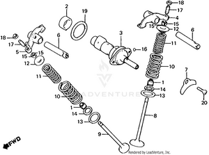 Camshaft + Valve Schematic