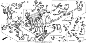 Wire Harness (abs) Schematic