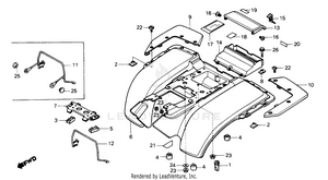 Rear Fender Schematic