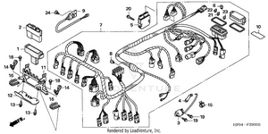 Wire Harness Schematic