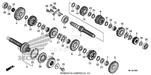 Transmission Schematic