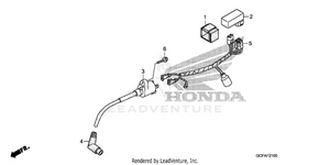 Wire Harness + Ignition Coil Schematic