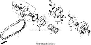 Driven Face Schematic