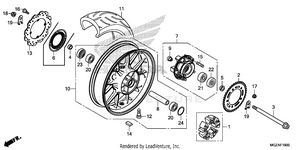 Rear Wheel Schematic