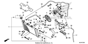 Radiator Schematic