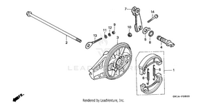 Rear Brake + Rear Brake Panel Schematic