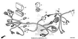 Wire Harness (2) Schematic
