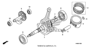 Crankshaft + Piston Schematic