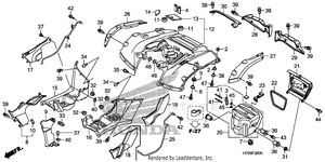 Rear Fender Schematic