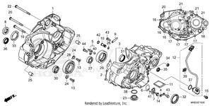 Crankcase Schematic