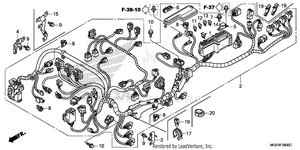 Wire Harness Schematic