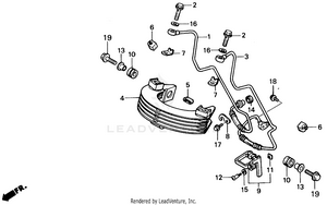 Oil Cooler 86-91 Schematic