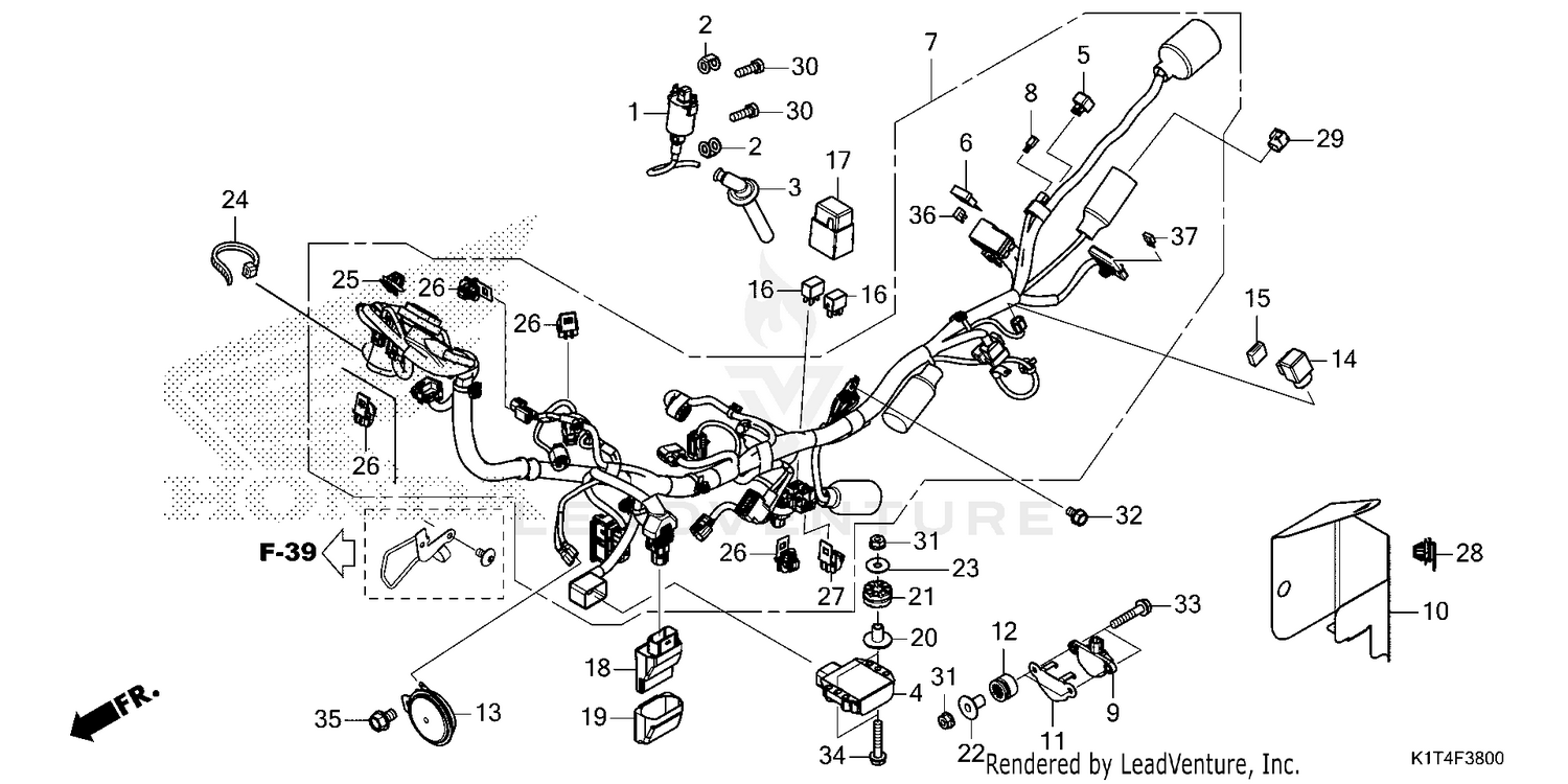 WIRE HARNESS (1)