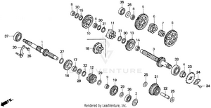 Transmission Schematic