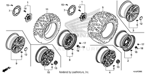 Wheel Schematic