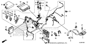 Wire Harness Schematic