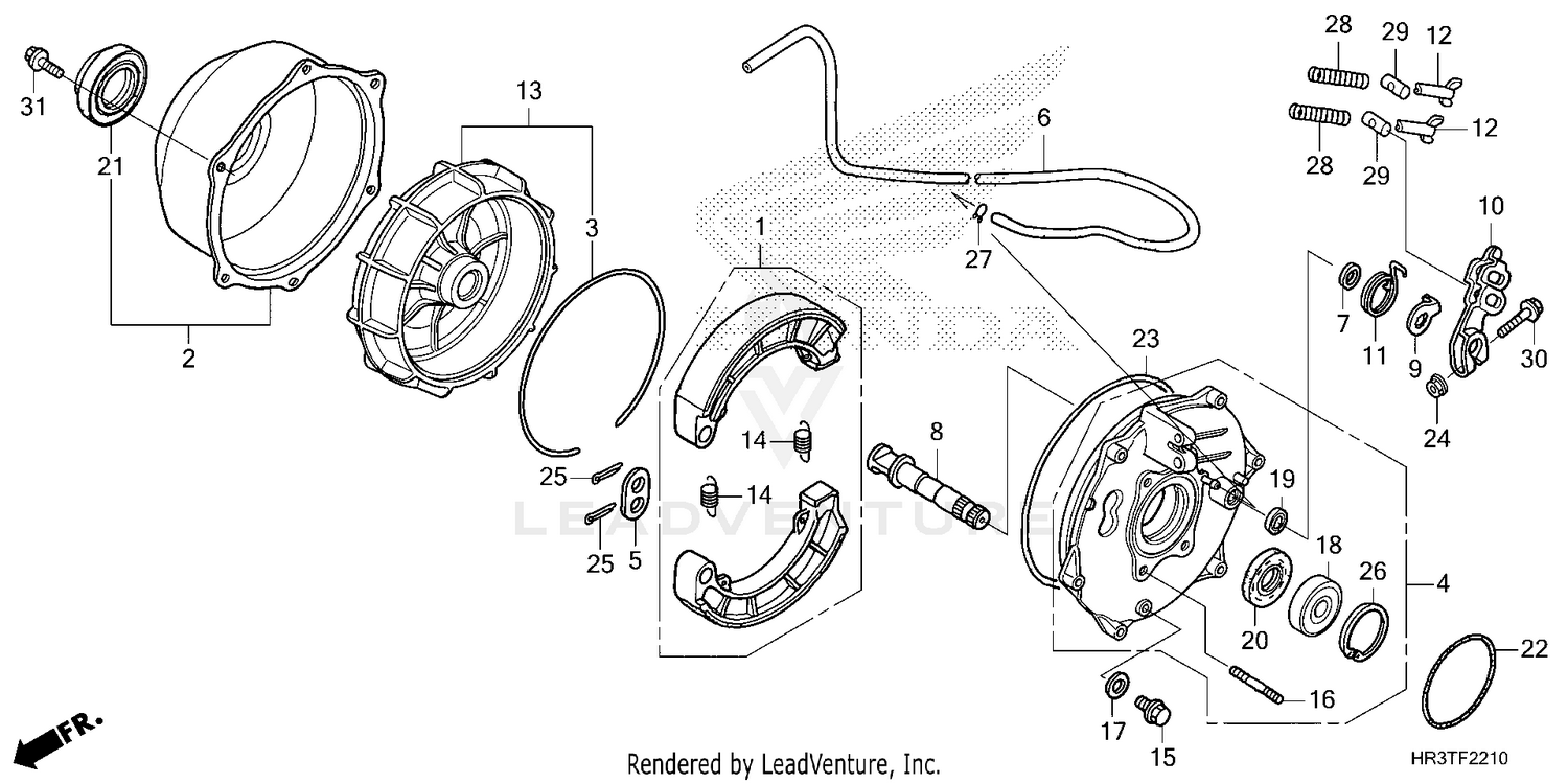 REAR BRAKE PANEL