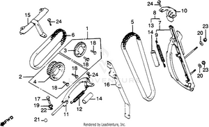 Cam Chain + Tensioner Schematic