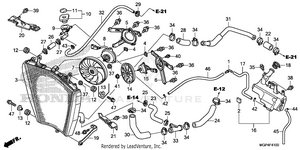 Radiator Schematic