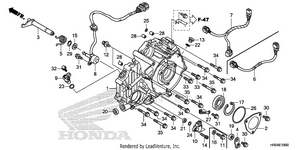 Rear Crankcase Cover Schematic