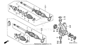 Trx300fwknuckle (trx300fw) Schematic