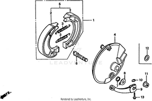 Front Brake + Front Brake Panel Schematic