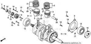 Crankshaft + Piston Schematic