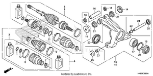 Rear Knuckle Schematic